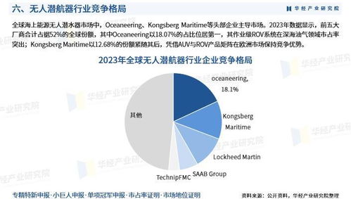 2025年中國無人潛航器行業(yè)市場深度分析及投資戰(zhàn)略咨詢報告