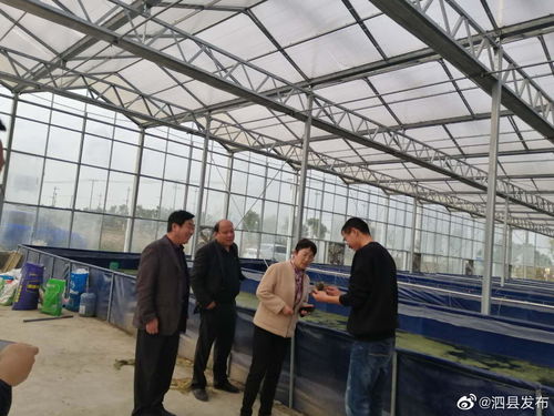 安徽宿州泗縣畜牧水產中心領導班子深入一線，開展工廠化水產養殖市場專題調研